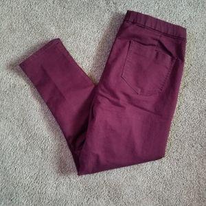 NOBO Woman's XXXL Super High Rise Jeans